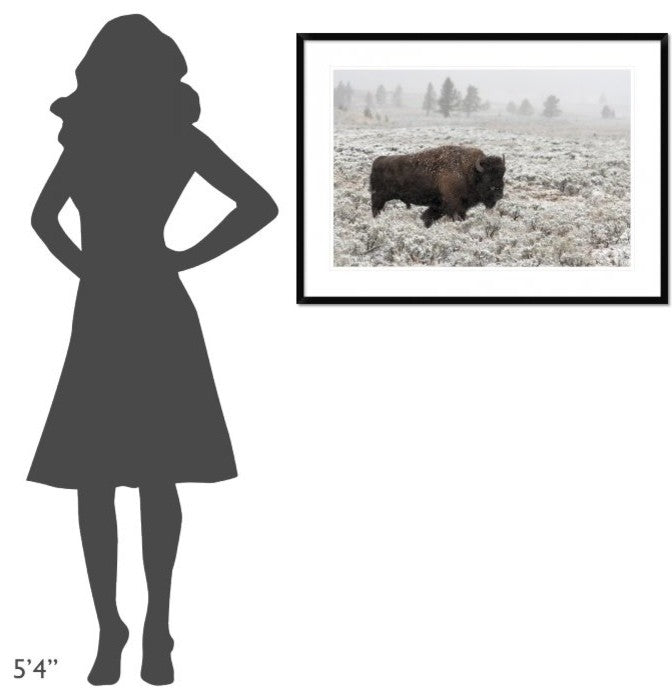"Late Fall Yellowstone" Framed Digital Print by Alfred Forns, 38"x28"