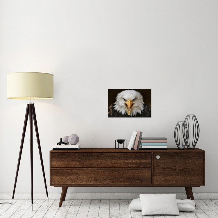 "Fierce" Stretched Canvas Giclee by Jimmy Hoffman, 24"x16"