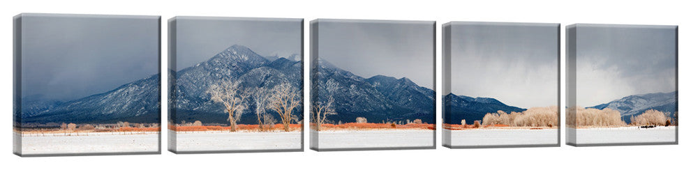 Ready2HangArt 'El Prado Meadows' by Bartlettayes