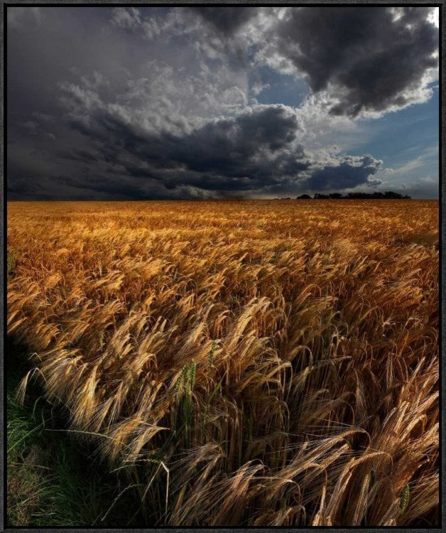 "Strohgaeu" Framed Canvas Giclee by Franz Schumacher, 26x31"