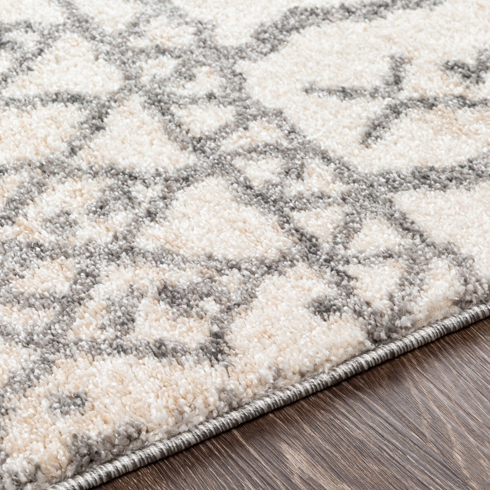 Surya Andorra ARD-2303 7'10" x 10' Rug