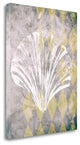 "Vintage Harlequin Shell 2" By Alicia Soave, Giclee Print on Gallery Wrap Canvas