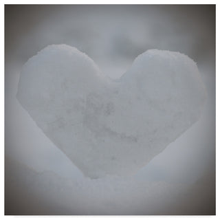 "Heart of Ice" by Christine Sainte-Laudy, Canvas Art