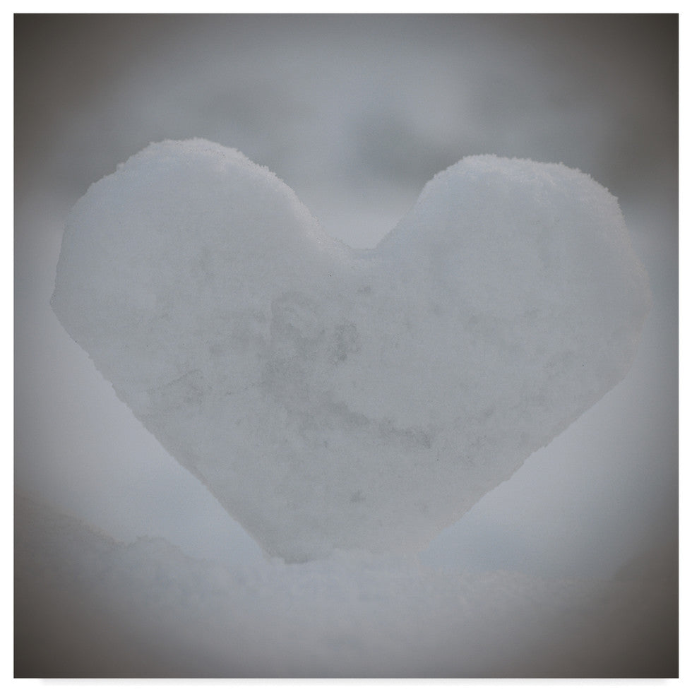 "Heart of Ice" by Christine Sainte-Laudy, Canvas Art