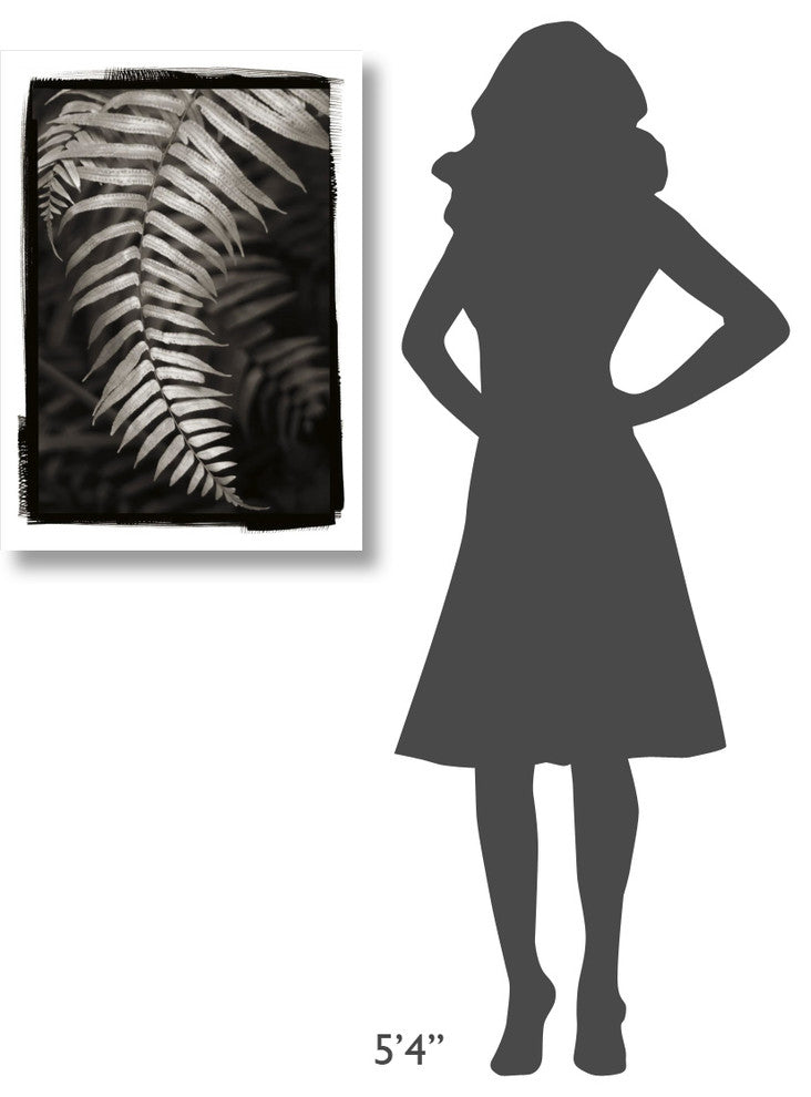 "Fern II v2" Digital Paper Print by Debra Van Swearingen, 23"x32"