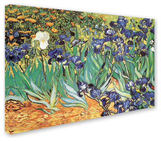 Vincent van Gogh 'Iris Garden' Canvas Art, 32 x 22