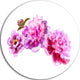 Bright Pink Peony Flowers, Floral Round Wall Art, 23"