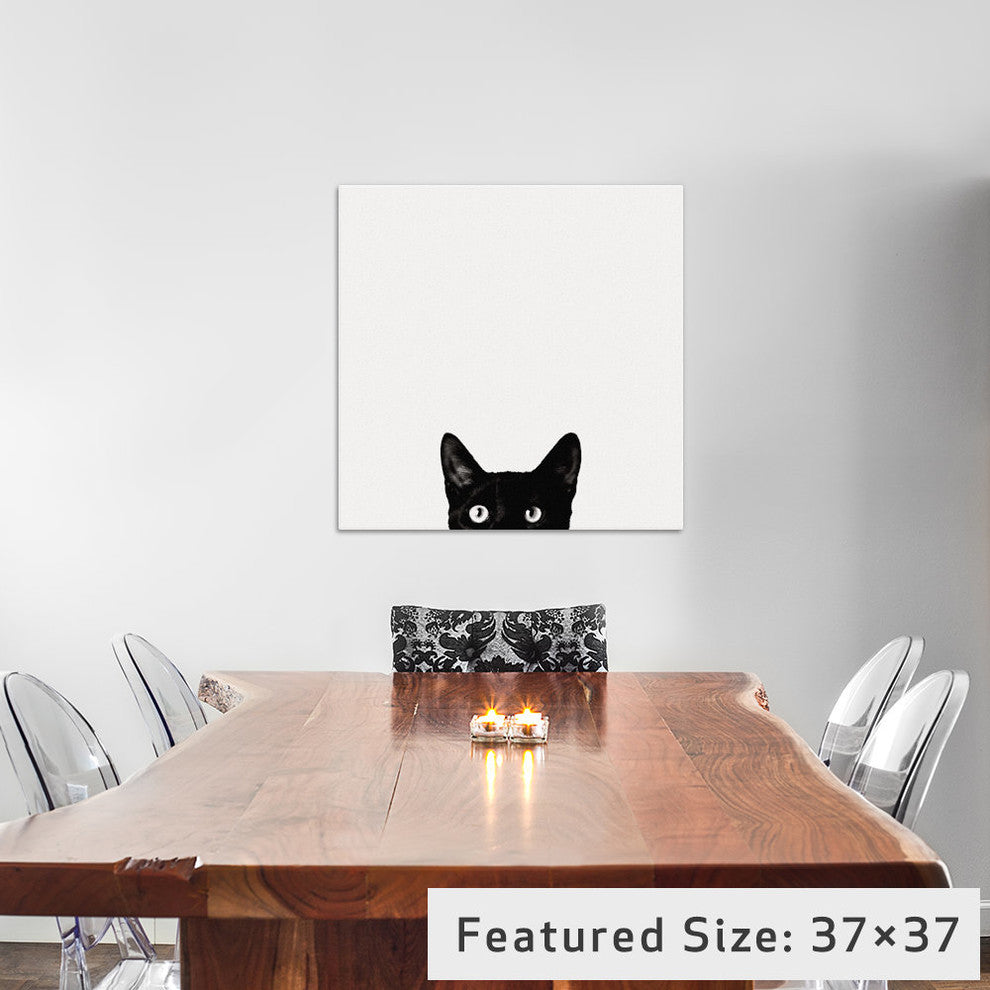 Curiosity by Jon Bertelli