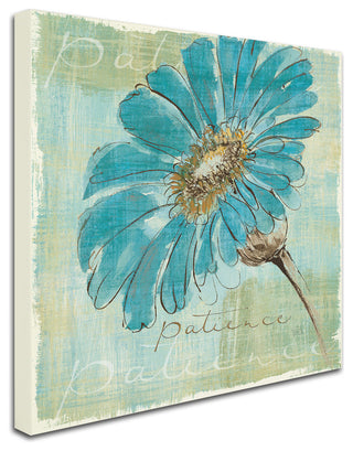 'Spa Daisies II' Canvas Art by Chris Paschke