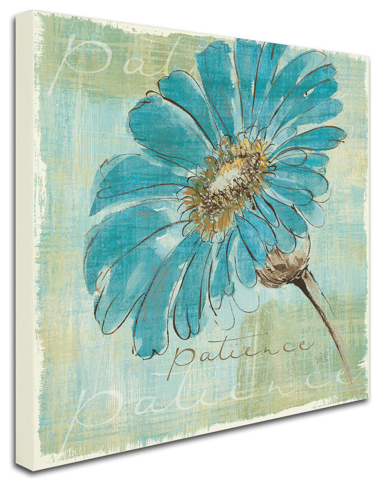 'Spa Daisies II' Canvas Art by Chris Paschke