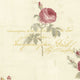 Rose Gardens 2, Romantic Floral Flower Cream, Rose Wallpaper Roll