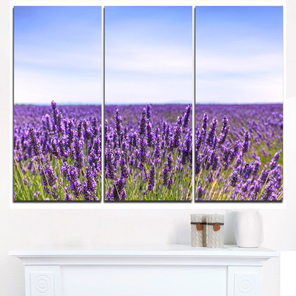 "Close View of Lavender Flower Field" Metal Wall Art, 3 Panels, 36"x28"