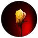 Beautiful Yellow Colored Rose, Modern Flower Round Wall Art, 11"