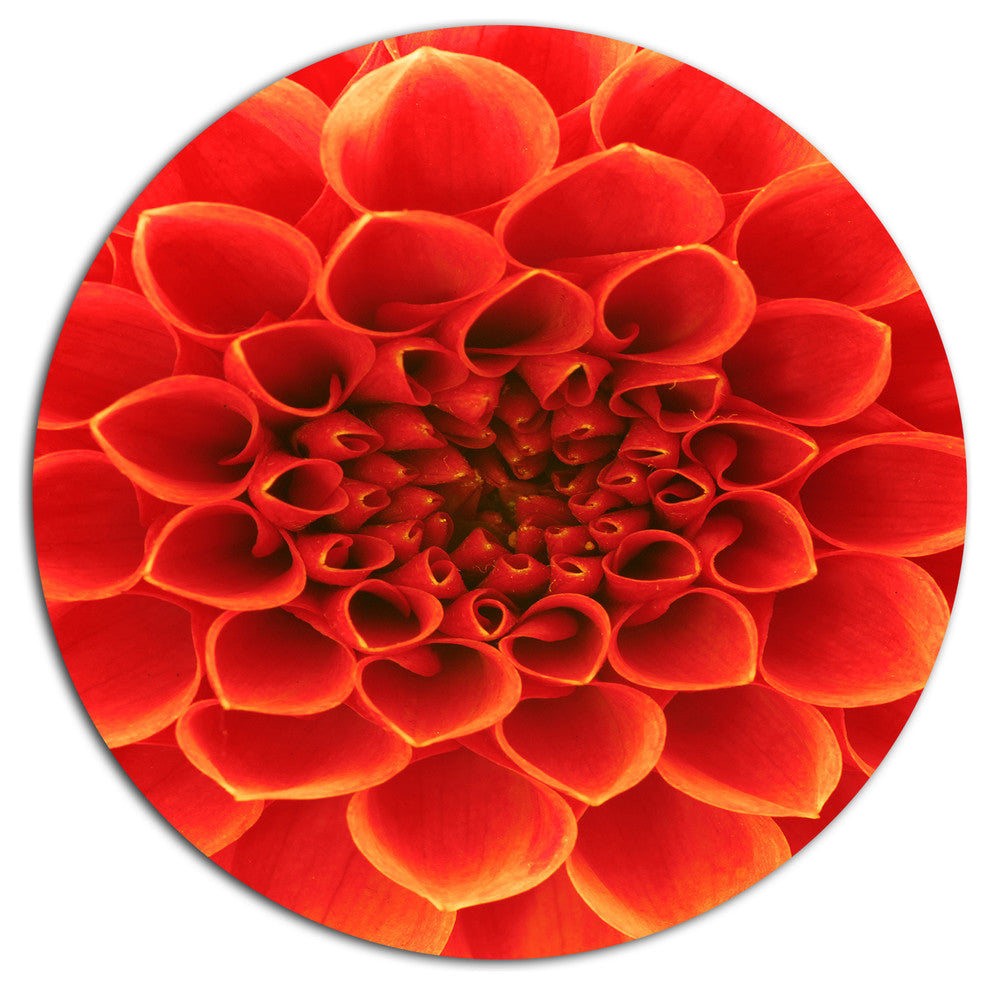 Orange Abstract Floral Design, Modern Floral Round Wall Art, 11"