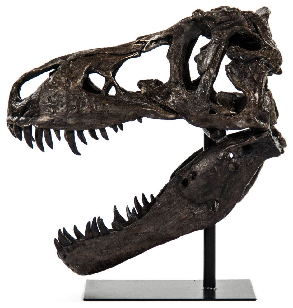 Dinosaur Skull With Base
