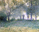 Guy Orlando Rose Morning Mist Wall Decal