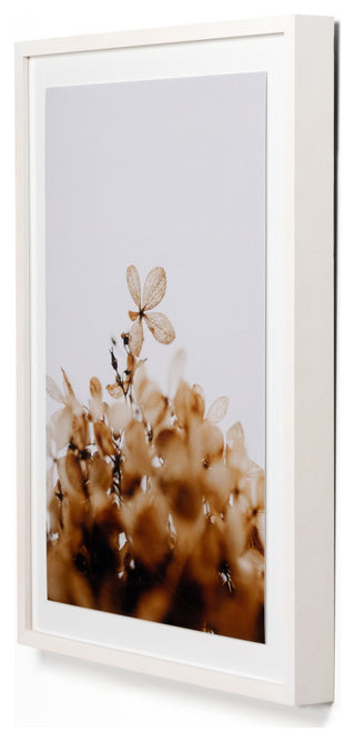 Greetings By Annie Spratt