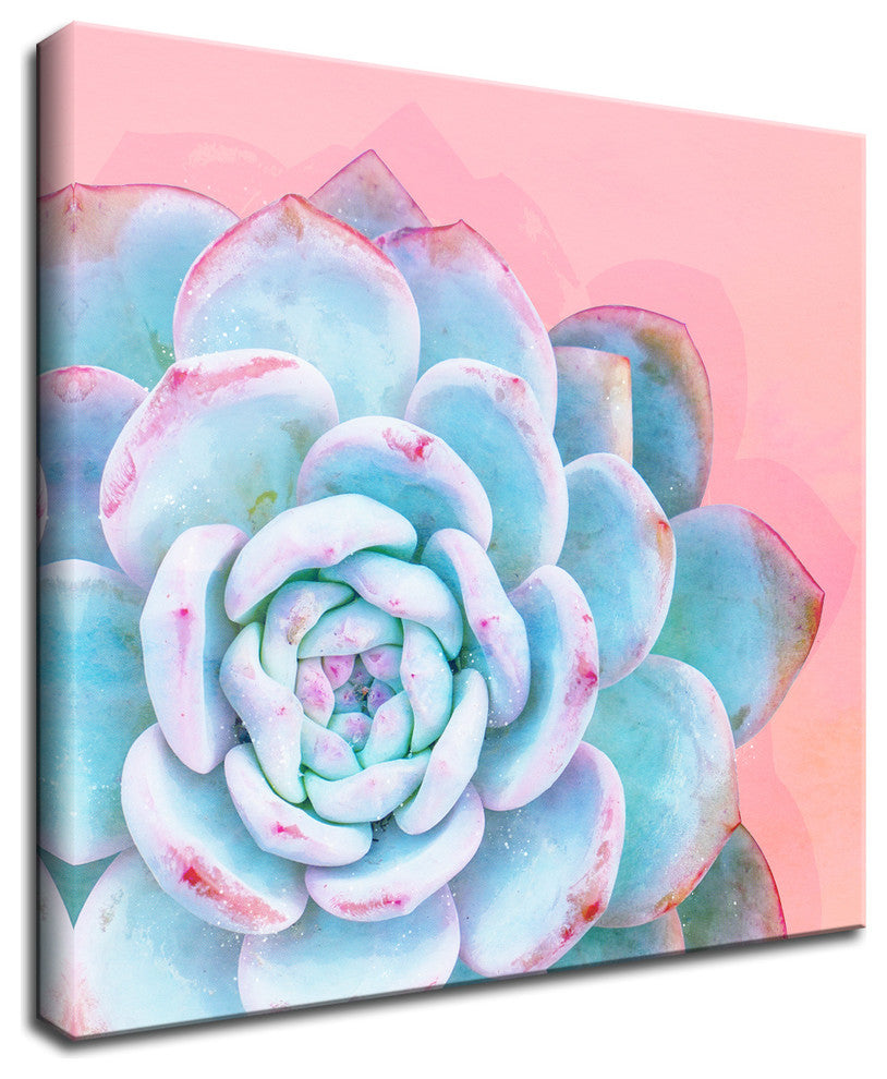 Ready2HangArt ''Awaken I'' Wrapped Canvas Succulent Wall Art, 20"x20"