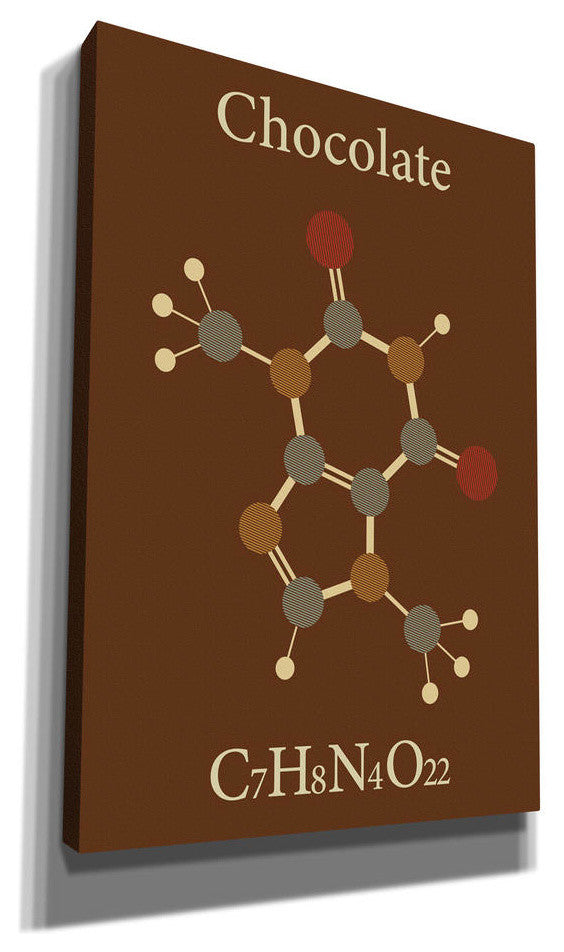 Epic Graffiti ''Chocolate Molecule'' Giclee Canvas Wall Art, 18"x26"