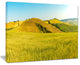 "Tuscany Wheat Field on Sunny Day" Landscape Print Wall Art, 20"x12"