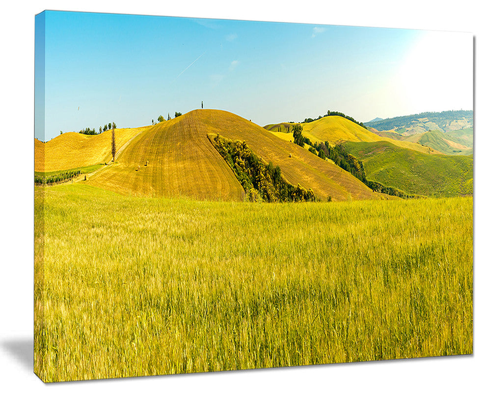 "Tuscany Wheat Field on Sunny Day" Landscape Print Wall Art, 20"x12"