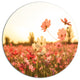 Cosmos Flowers On Sunset Background, Modern Floral Round Wall Art, 11"