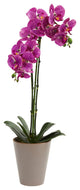 24" Speckled Phalaenopsis Orchid Artificial Arrangement