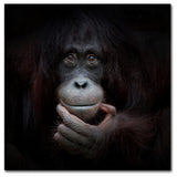 Antje Wenner Braun 'The Mirror Image' Canvas Art, 35x35