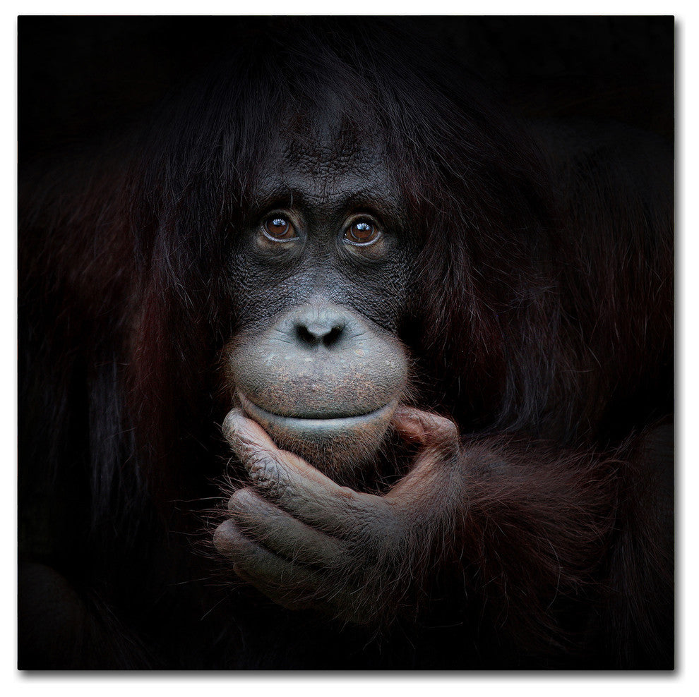 Antje Wenner Braun 'The Mirror Image' Canvas Art, 35x35