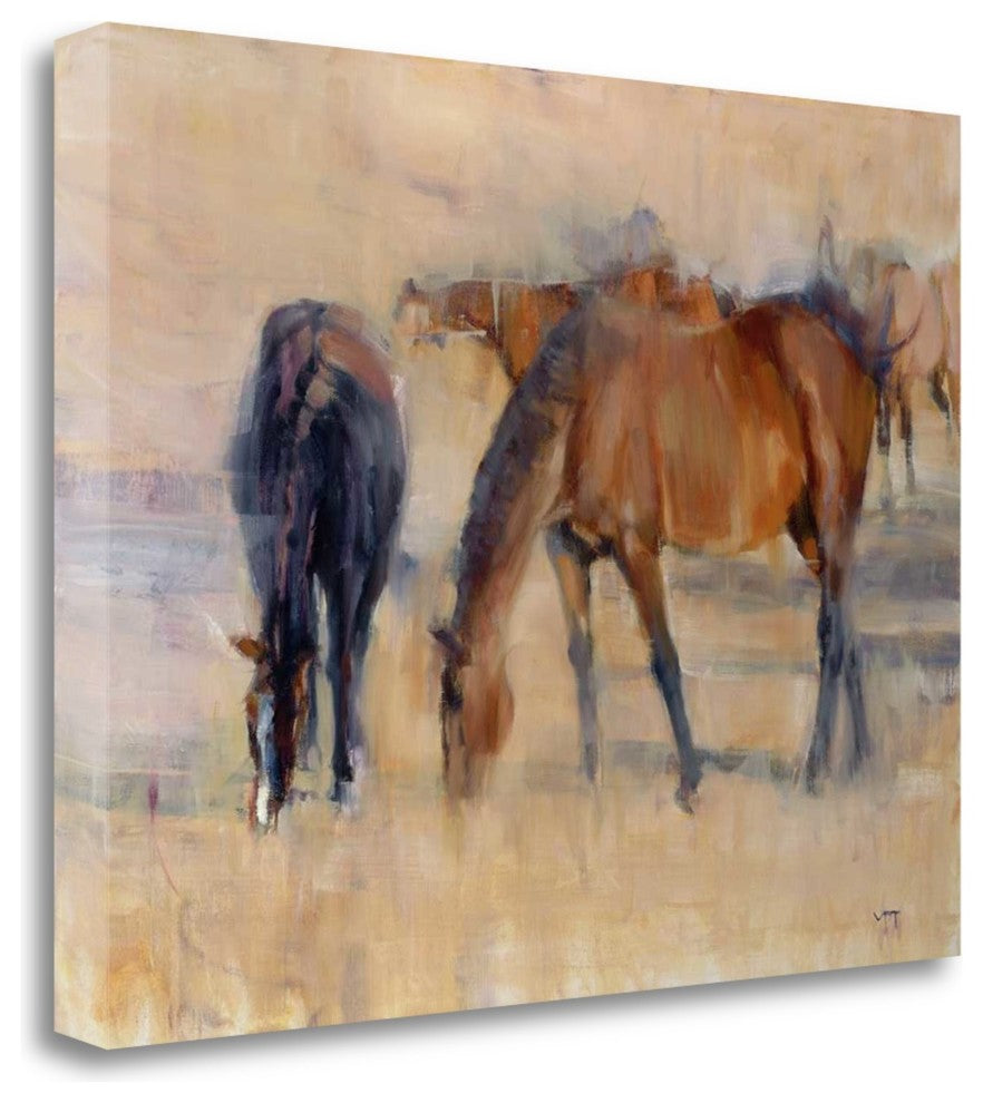 "Kentucky Morning 1" By Valtcho Tonov, Giclee Print on Gallery Wrap Canvas