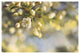 "Blush Blossoms II" Digital Paper Print by Sue Schlabach, 50"x34"