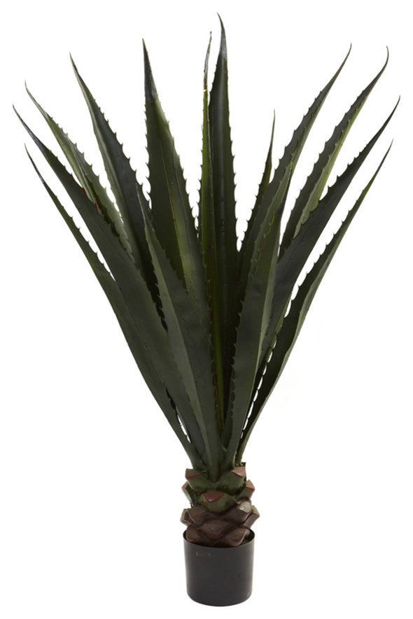 52" Giant Agave Plant
