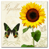 Tina Lavoie 'Natural History Sketchbook III' Canvas Art, 18" x 18"