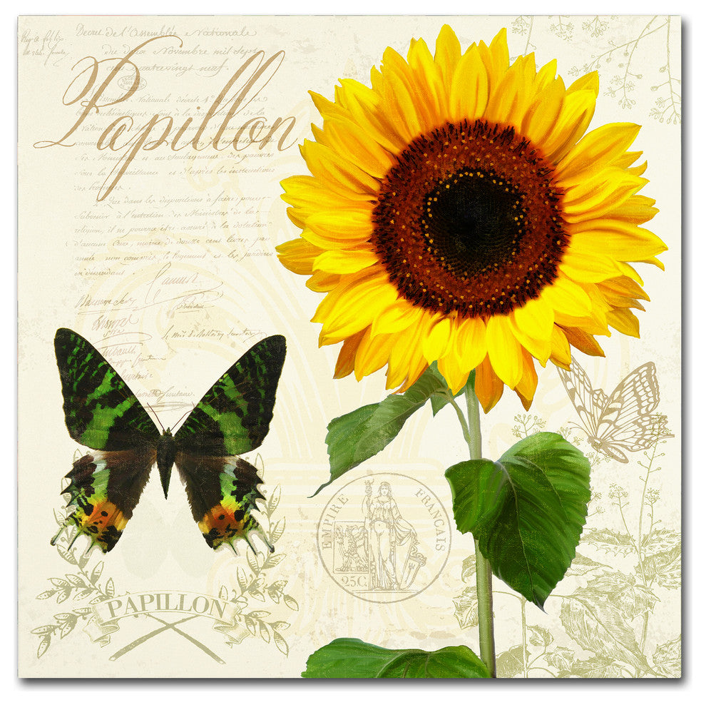 Tina Lavoie 'Natural History Sketchbook III' Canvas Art, 18" x 18"