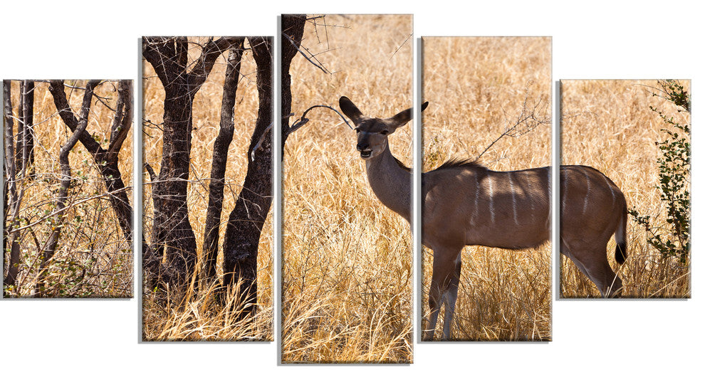 Grants Gazelle Standing in Long Grass, Animal Canvas Print, 60"x32", 5 Panels