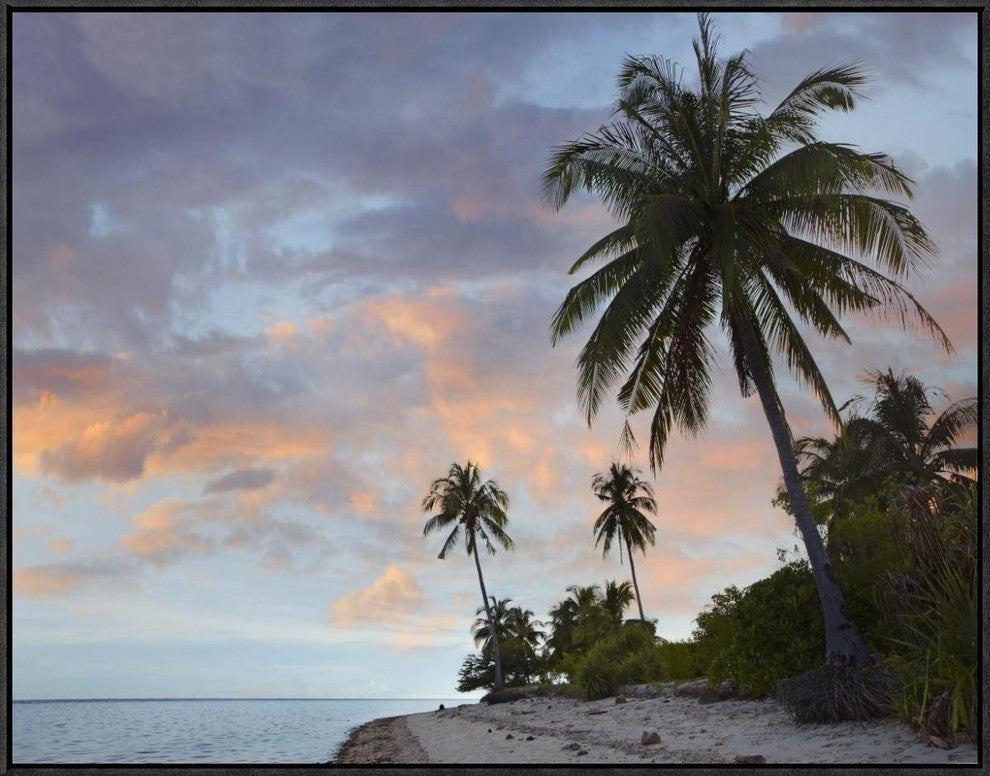 Coconut Palm Trees, Pamilacan Island, Bohol Island, Philippines, 32"x24"
