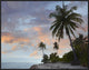 Coconut Palm Trees, Pamilacan Island, Bohol Island, Philippines, 32"x24"