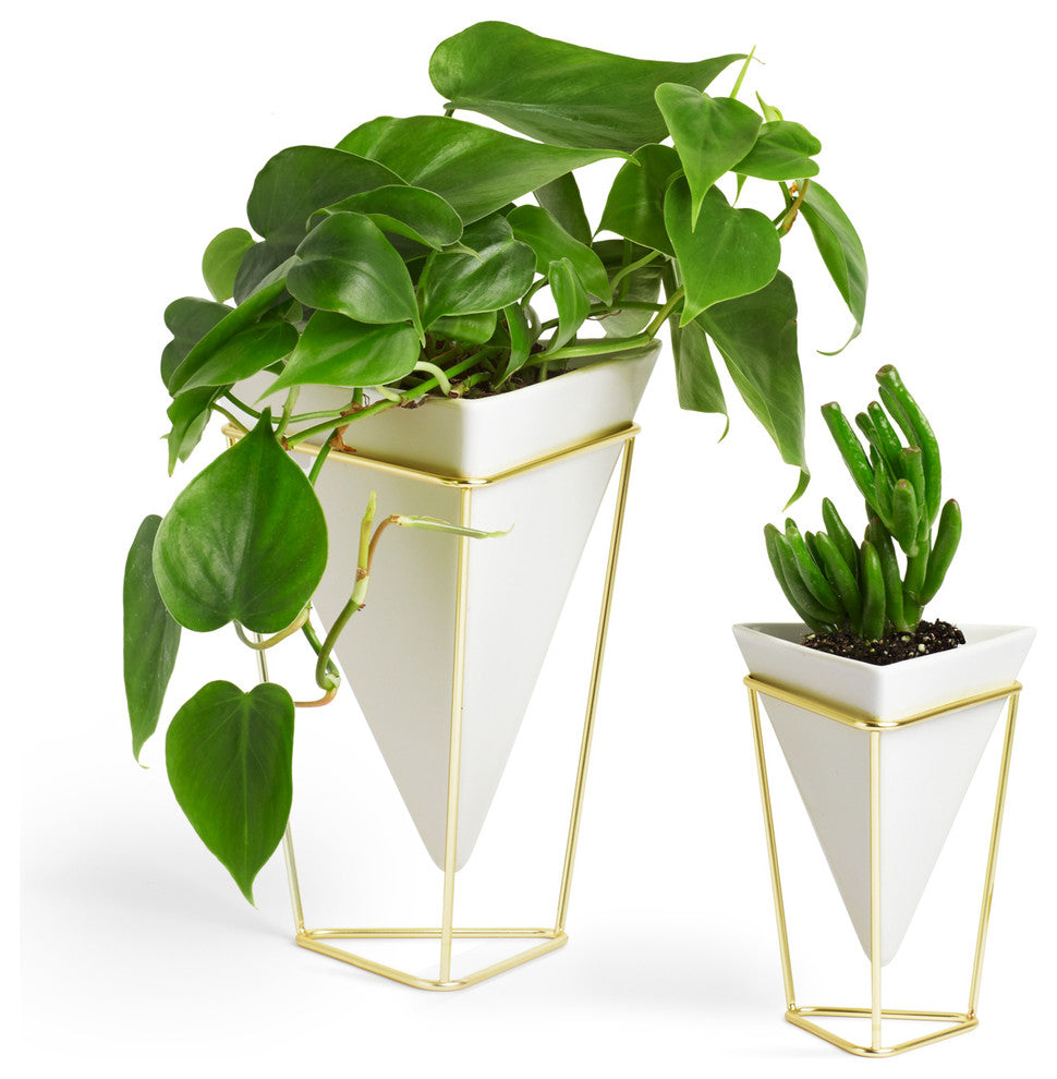 2-Piece Trigg Desk Vessel White and Brass Set