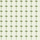Palm Bay Wallpaper