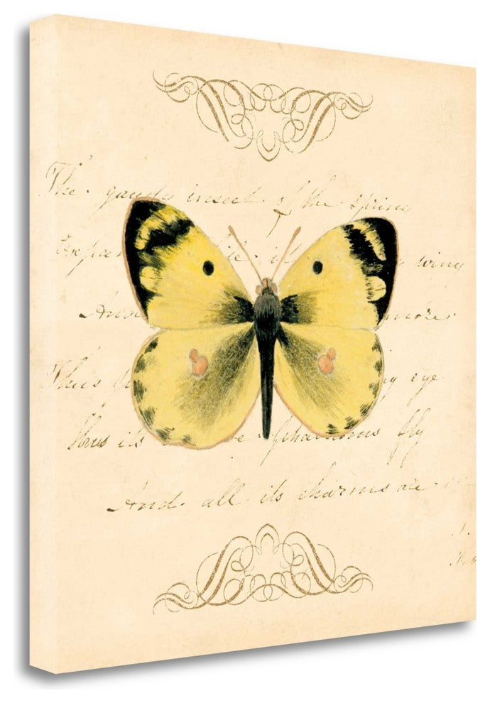 "Yellow Butterfly" By Artique Studio, Giclee Print on Gallery Wrap Canvas