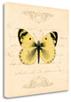"Yellow Butterfly" By Artique Studio, Giclee Print on Gallery Wrap Canvas