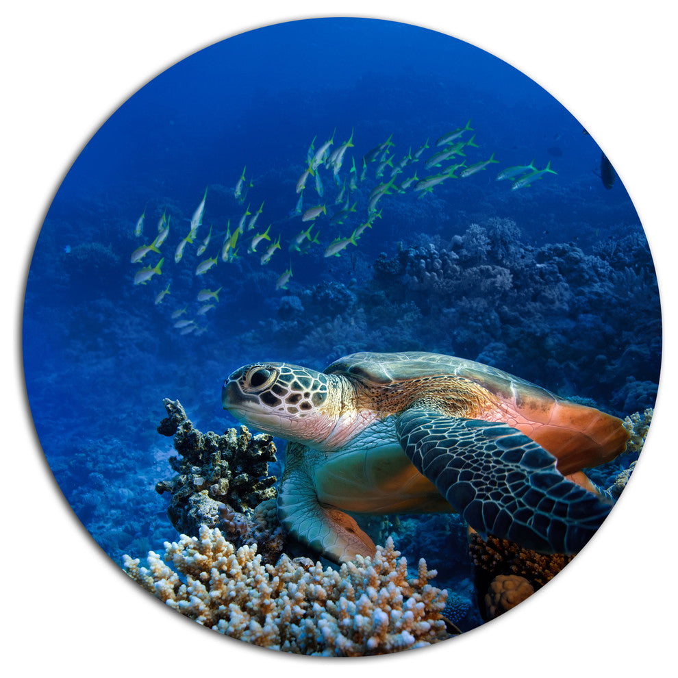 Sea Turtle Underwater, Animal Round Wall Art, 36"