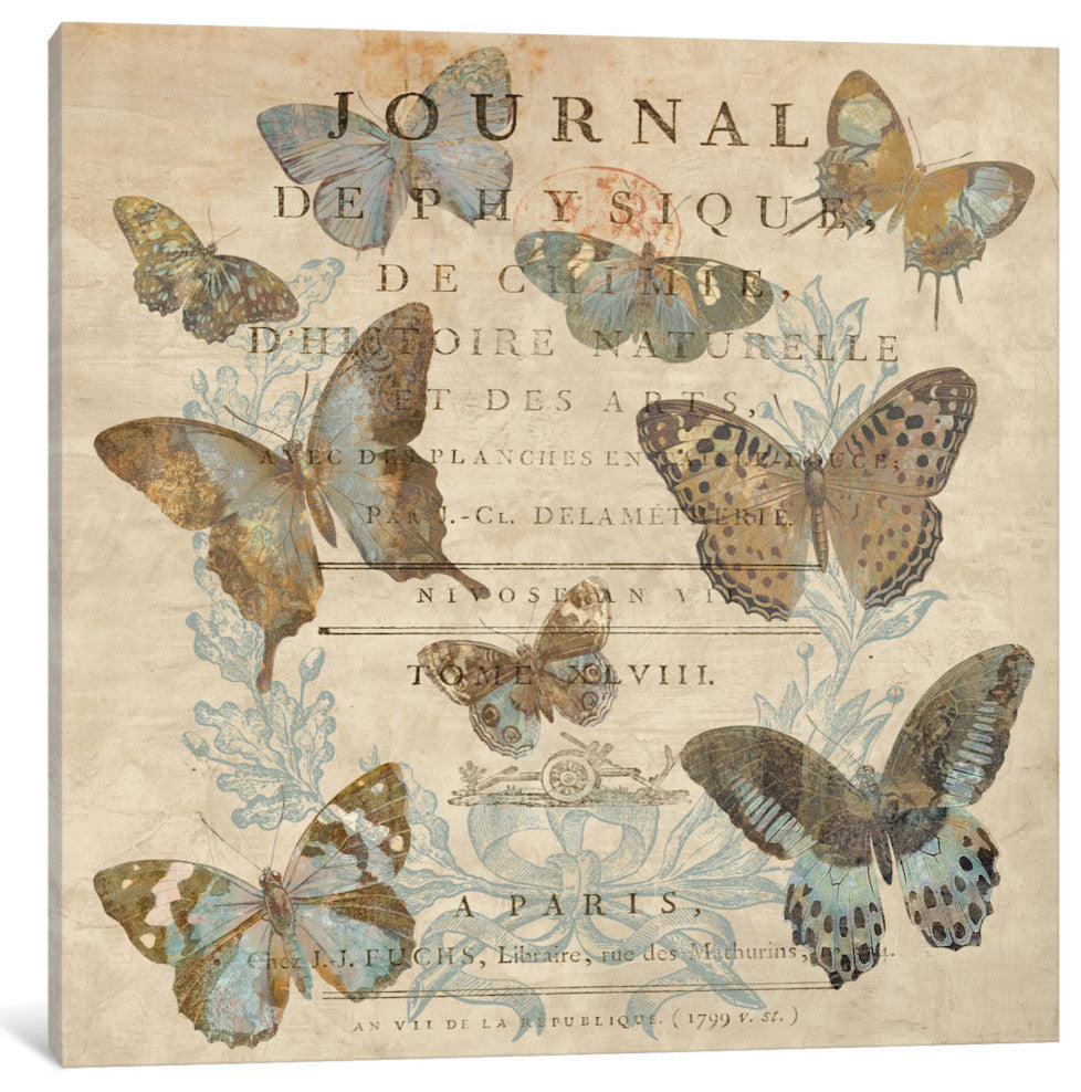 "Papillon I" by Deborah Devellier, Canvas Print, 18"x18"