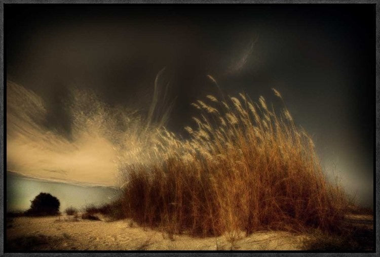 "Untitled" Framed Canvas Giclee by Miki Meir Levi, 23x15"