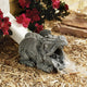 Darian the Dragon Rain Gutter