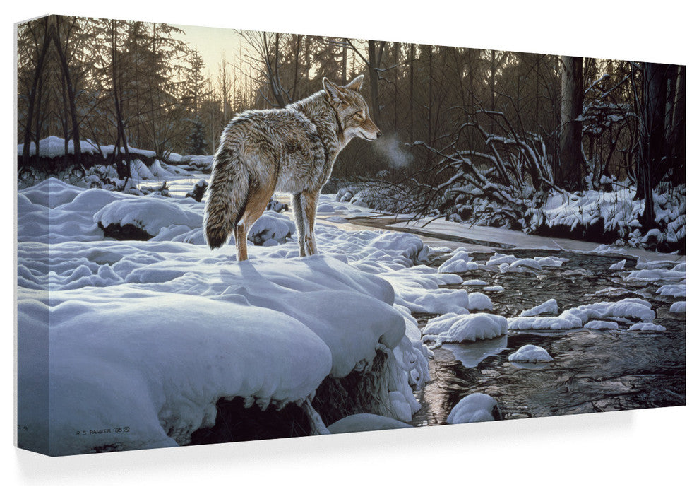 Ron Parker 'Winter Creek Coyote' Canvas Art, 19"x10"