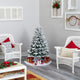 4' Flocked Vermont Mixed Pine Faux Christmas Tree With 100 Clear LED Lights