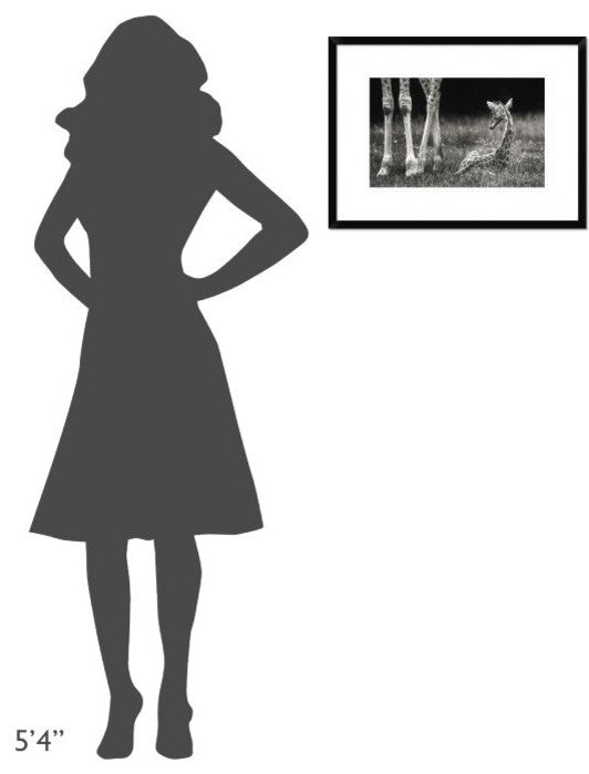 "Well Protected" Framed Digital Print by Andreas Feldtkeller, 24"x18"