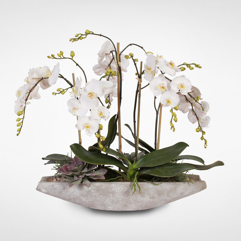 Real Touch White Phalaenopsis  Orchids, Stone Boat Pot