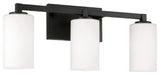 Capital Lighting Ravenwood 3-Light Vanity 119831BI-545 Black Iron